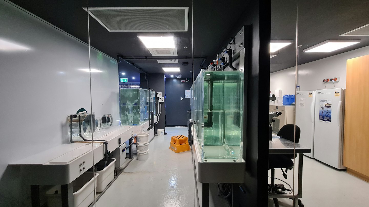 Scientific laboratory featuring rows of large water-filled glass tanks.